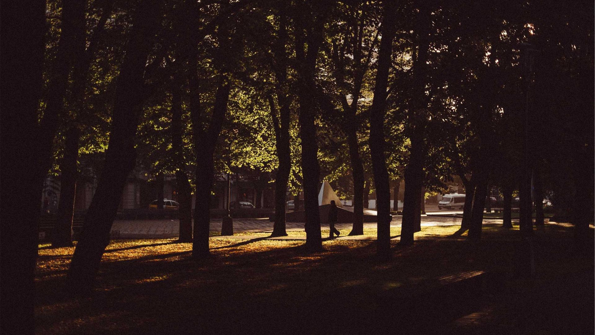 学校做家长满意度调查，别再让老师手动统计了