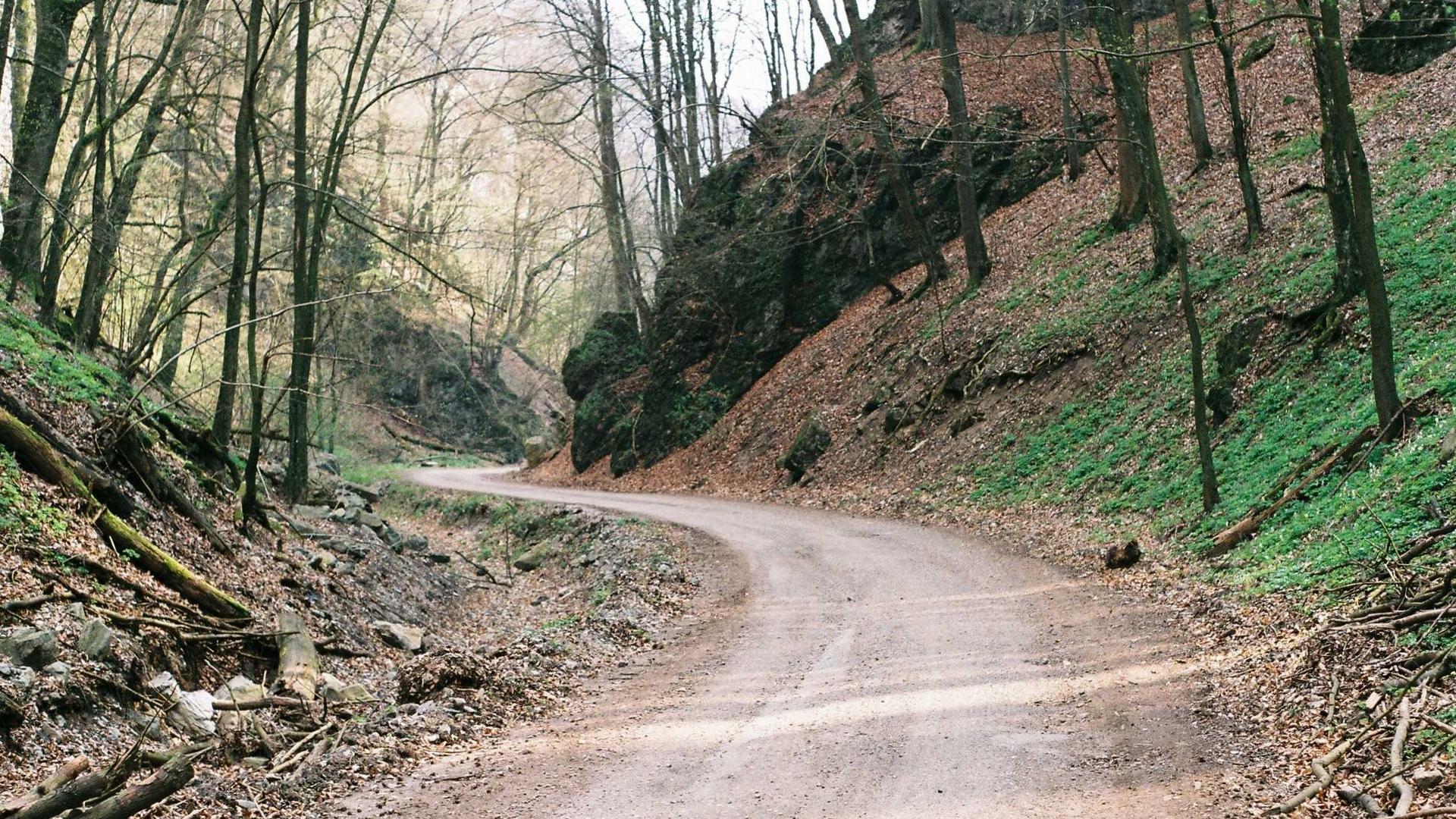 辅导员做心理健康测评，用对工具事半功倍